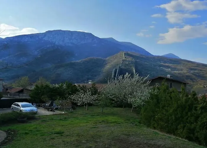 мечта Дом отдыха