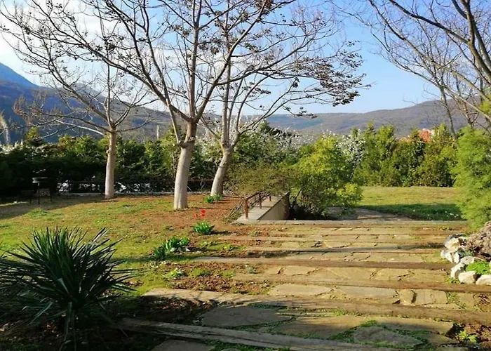 мечта Дом отдыха *